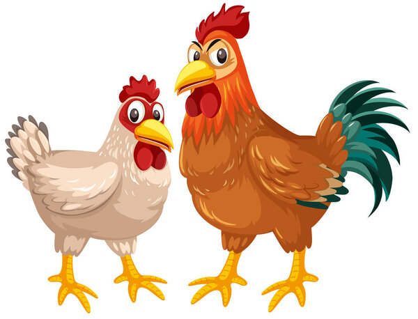 Hen and rooster on white background illustration