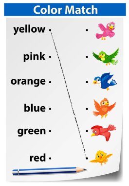 renk maç kuşlar konsept illüstrasyon