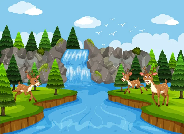 Ciervo Cascada Bosque Escena Ilustración — Vector de stock
