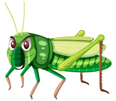 Beyaz arka plan illüstrasyon üzerinde yeşil çekirge