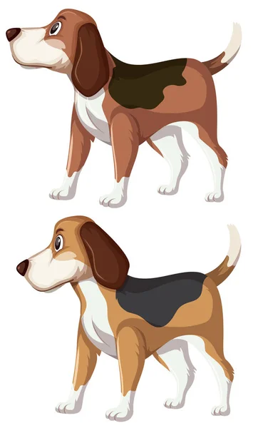 Ένα Σύνολο Από Εικονογράφηση Σκυλιών Beagle — Διανυσματικό Αρχείο