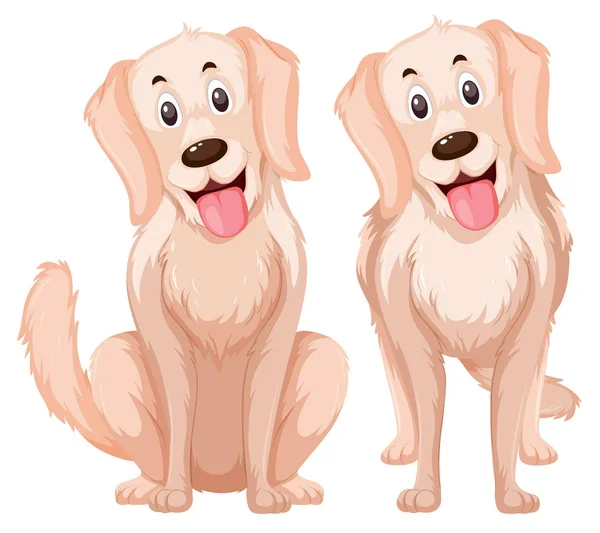 Een Set Van Gouden Retriever Illustratie — Stockvector