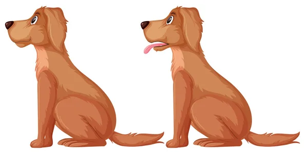 Lato Golden Retriever Illustrazione — Vettoriale Stock