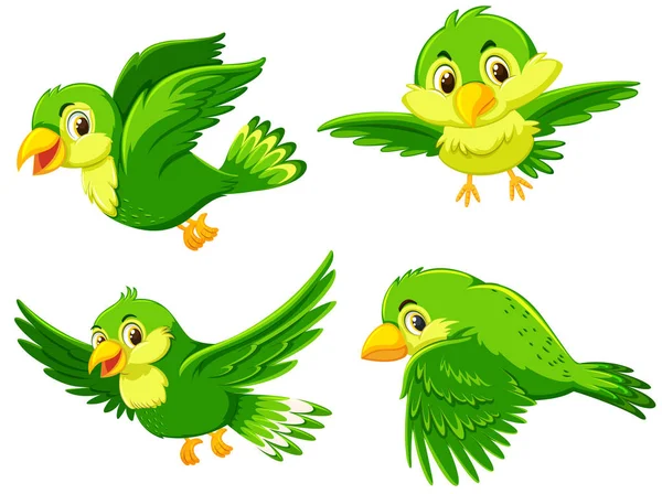 Groene Vogel Met Andere Actie Illustratie — Stockvector