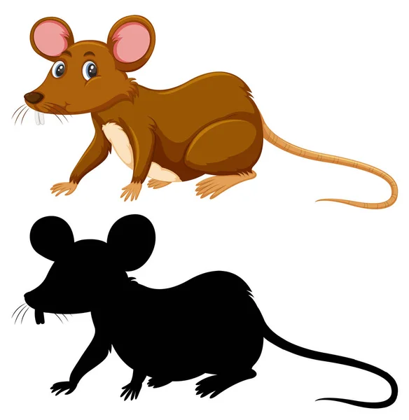 Farbe Und Silhouette Der Rattenillustration — Stockvektor
