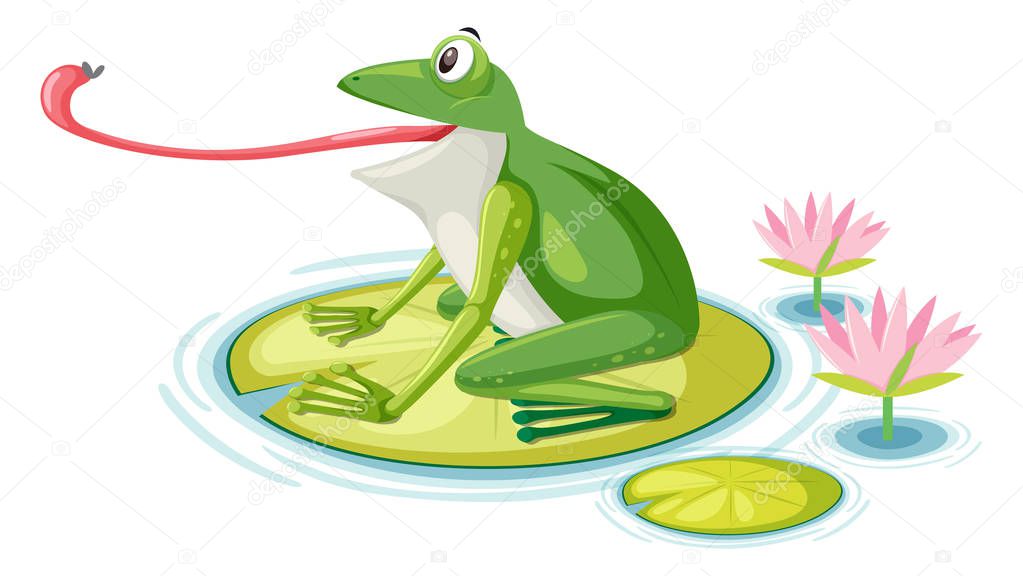A frog eating fly on lily pad illustration