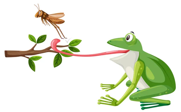 Une Grenouille Essayer Manger Sauterelle Illustration — Image vectorielle