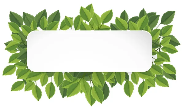 Illustrazione Banner Foglia Verde — Vettoriale Stock