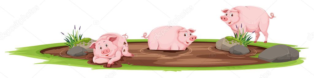 Pigs playing in the mud illustration