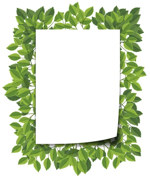 Folha Verde Ilustração Borda Branco —  Vetores de Stock