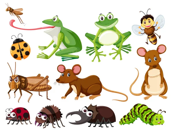 Set of animals and insects illustration