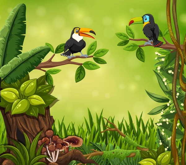 Toucan bird in jungle illustration