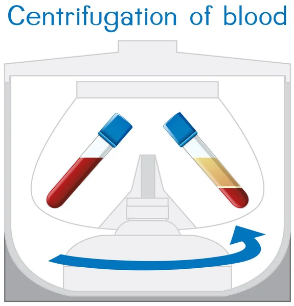 Santrifüjü Kan Diyagramı Şekil — Stok Vektör