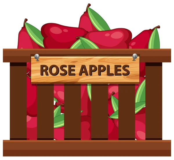 Rose Apple Στην Απεικόνιση Ξύλινο Καφάσι — Διανυσματικό Αρχείο