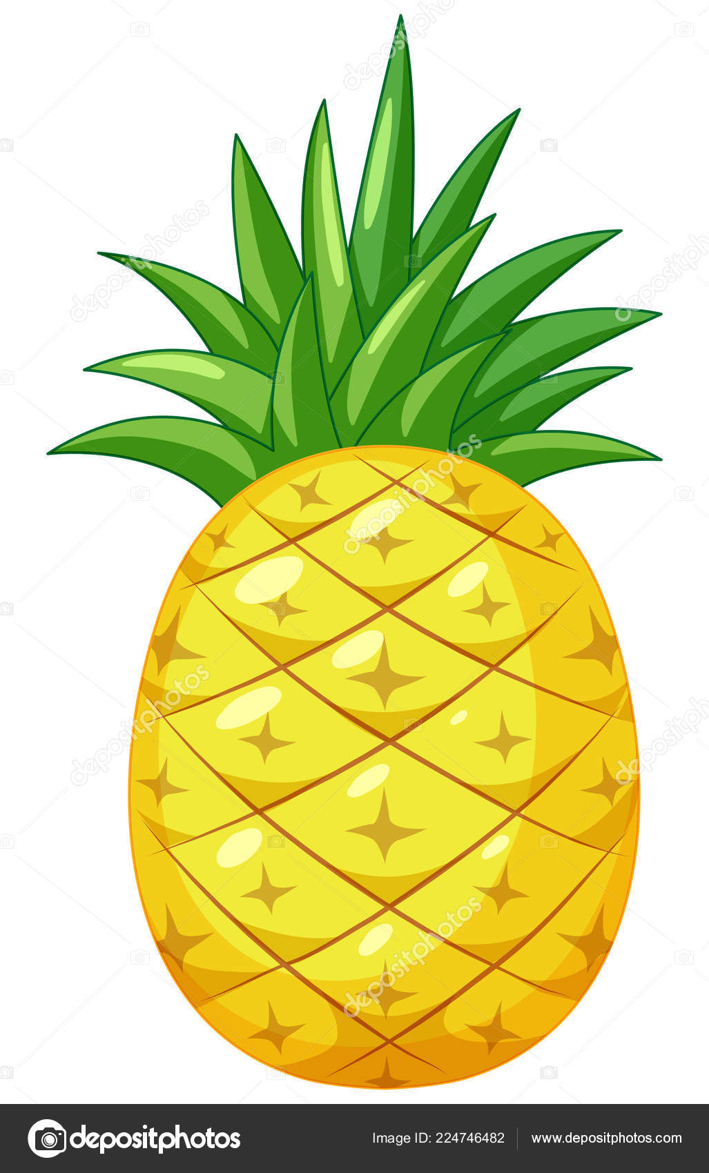 Abacaxi Em Aquarela De Fundo Branco PNG , Ecológico, Culinária, Fruta PNG  Imagem para download gratuito, image size:1027x1700