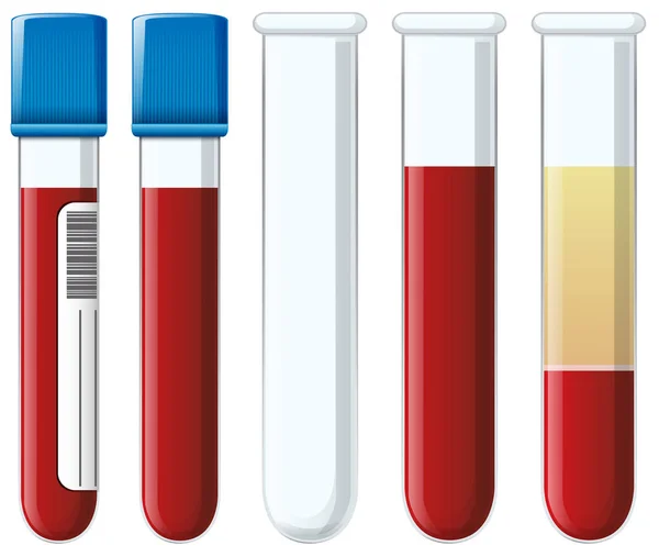 Set Blood Collection Tubes Illustration — Stock Vector