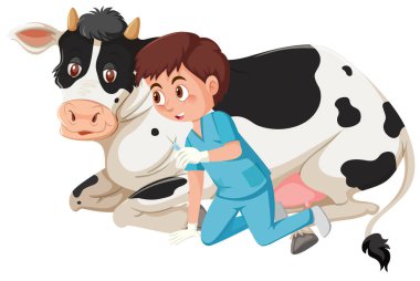 Enjeksiyon için bir inek örnek vererek bir veteriner