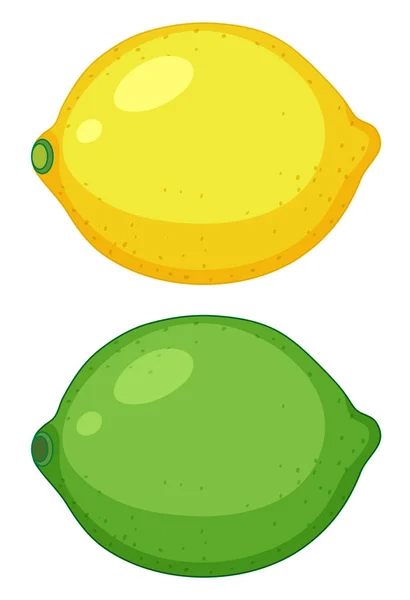 Abbildung Von Zitrusfrüchten — Stockvektor