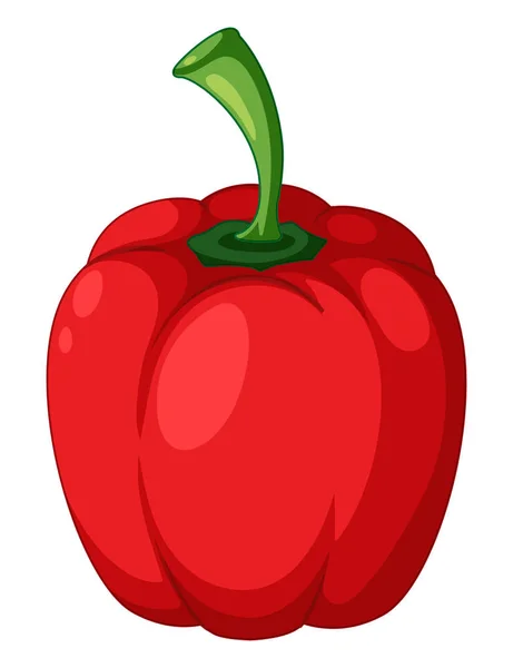 Capsicum Roșu Fundal Alb Ilustrație — Vector de stoc