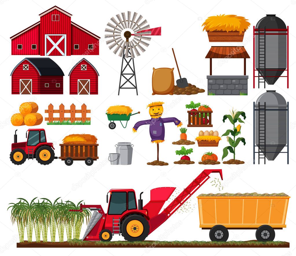 Set of sugar cane farm element illustration
