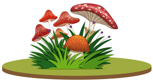 Isolated mushroom on white background illustration