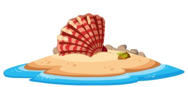 Üzerinde Adası illüstrasyon izole deniz kabuğu