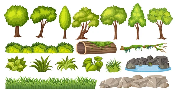 Conjunto Elementos Naturaleza Para Decoración Ilustración — Vector de stock