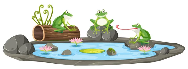 Białym Tle Frog Pond Ilustracji — Wektor stockowy