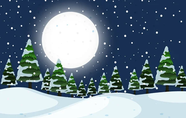 Een Winter Buiten Nacht Scène Illustratie — Stockvector