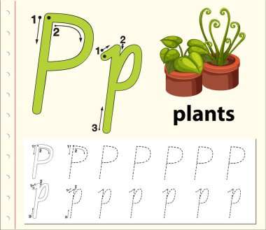 P harfi izleme alfabe çalışma illüstrasyon