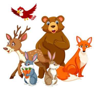 Vahşi hayvan örnekleri grubu