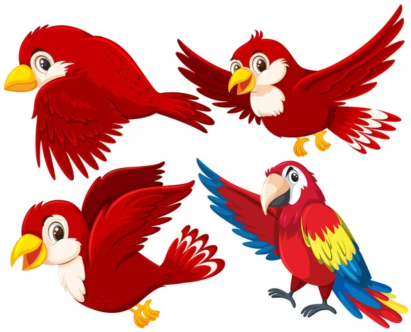 一套红色鸟例证 — 图库矢量图片