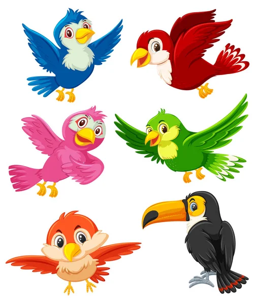 Set Bird Character Illustration — Stock Vector