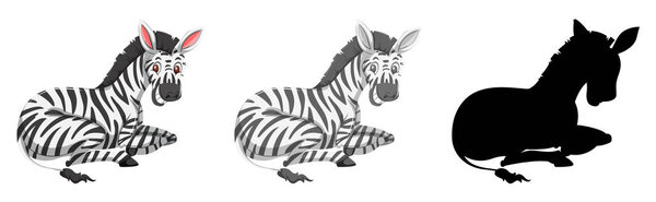 Набор образов зебры
