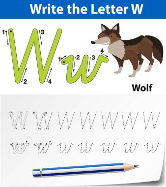 Harf W izleme alfabe çalışma illüstrasyon