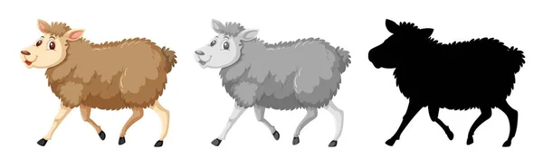 Reihe Von Schafen Charakter Illustration — Stockvektor
