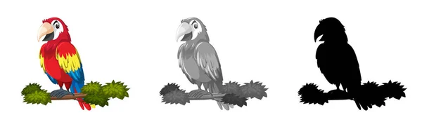 Conjunto de caráter papagaio — Vetor de Stock