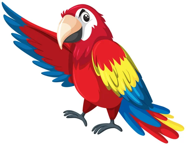 A colourful parrot character — Stock Vector