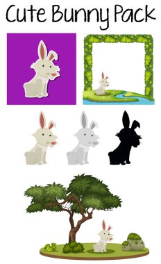 Bunny bir paket