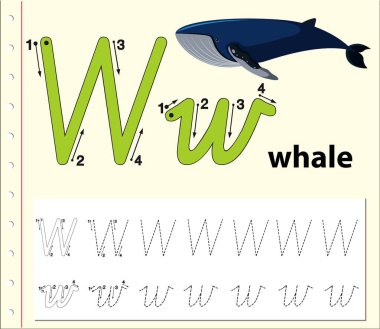 Harf W izleme alfabe çalışma sayfaları