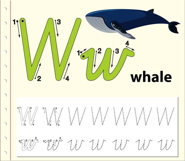 Harf W izleme alfabe çalışma sayfaları