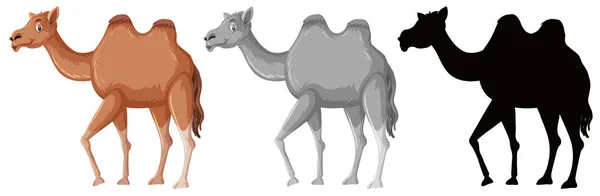 Set di caratteri cammello — Vettoriale Stock