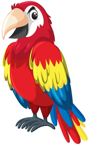 A red parrot character — Stock Vector