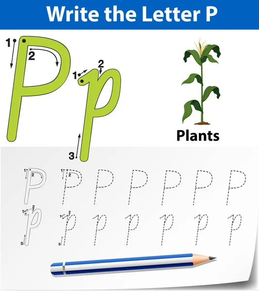 Letter P tracering alfabet werkbladen — Stockvector