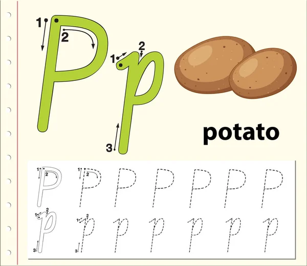 Letra P rastreando planilhas do alfabeto — Vetor de Stock