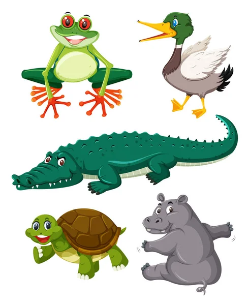 Set of reptiles animals