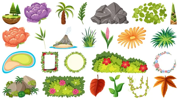 Set of ornamental plants — Stock Vector