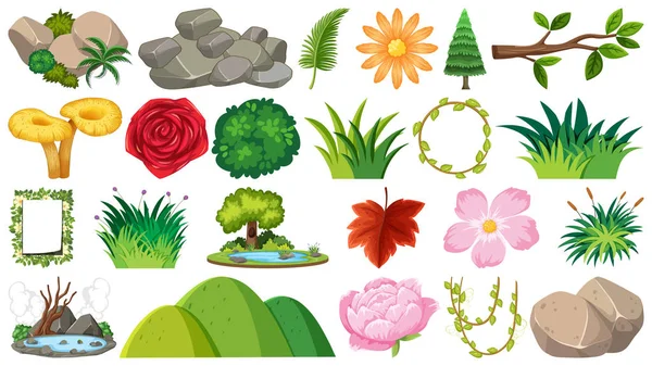 Ensemble de plantes ornementales — Image vectorielle