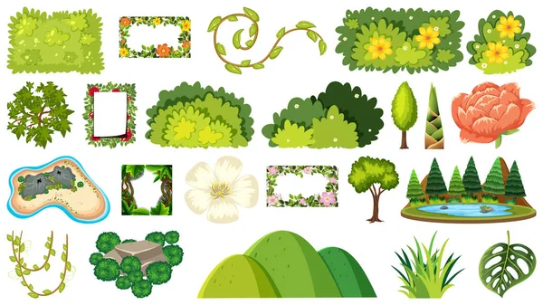 Ensemble de plantes ornementales — Image vectorielle