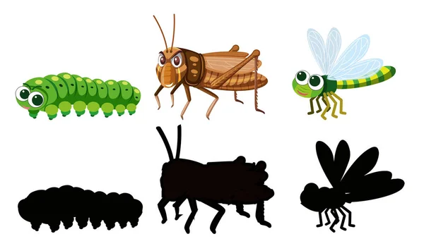 Set of insect character — Stock Vector